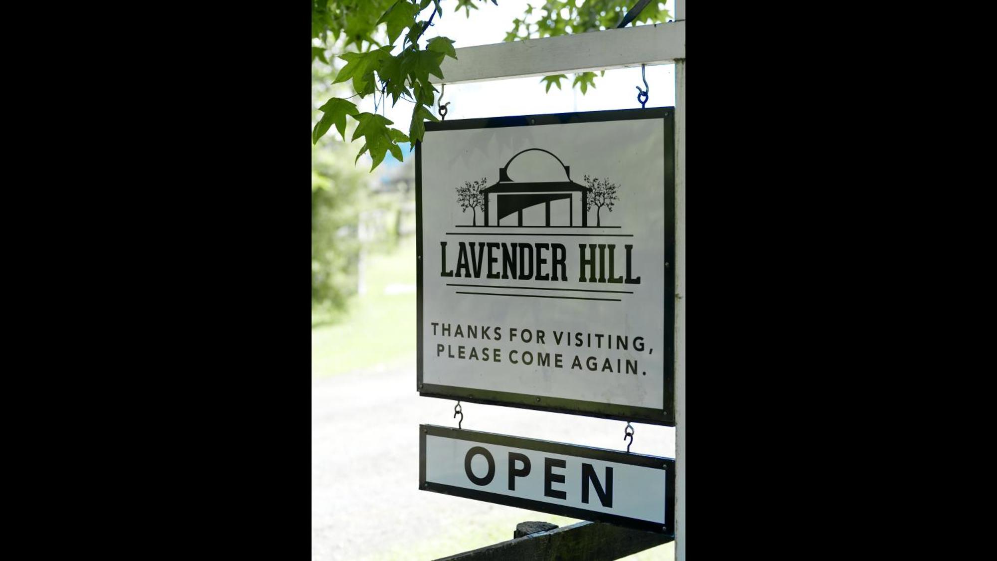 Lavender Hill Bed & Breakfast Riverhead Exterior foto