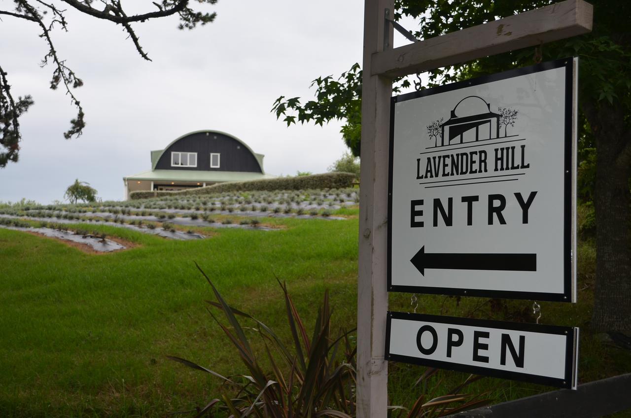 Lavender Hill Bed & Breakfast Riverhead Exterior foto
