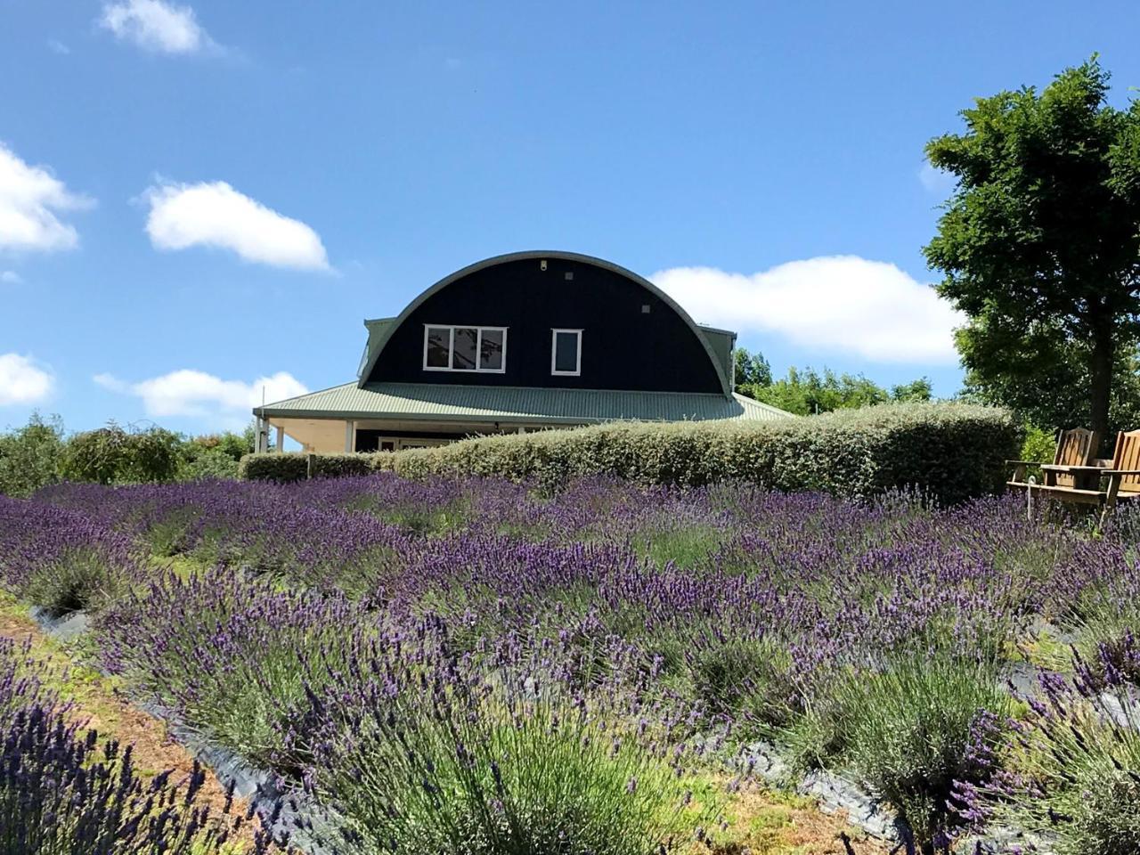 Lavender Hill Bed & Breakfast Riverhead Exterior foto