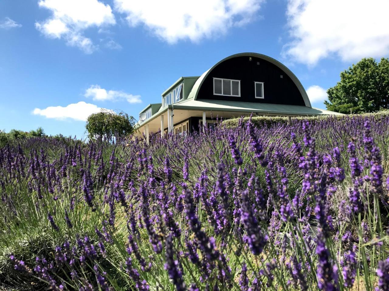 Lavender Hill Bed & Breakfast Riverhead Exterior foto
